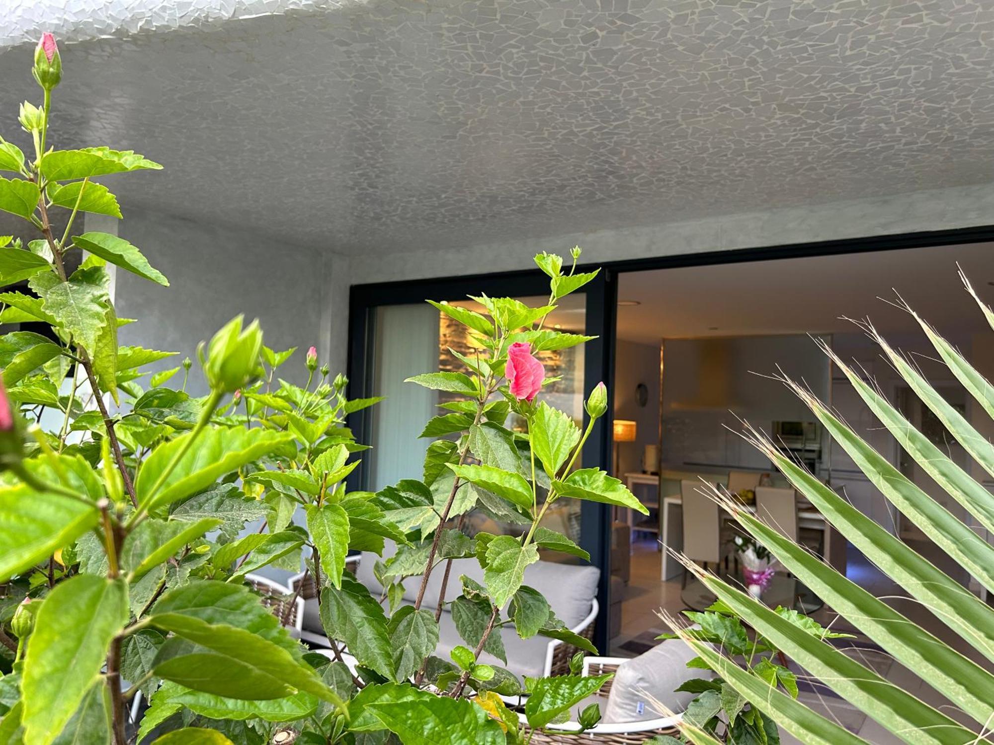 Ville Las Olas Palm-mar Ngoại thất bức ảnh